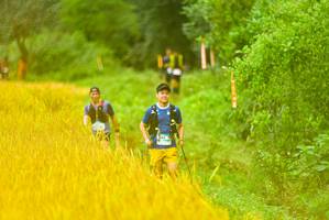 BIB: 
                            <button type="button" onclick="openModal(13456129)" class="btn btn-primary btn-sm float-right btn-popup" data-toggle="modal" data-target=".modal-high-quality">
                        <i class="fas fa-shopping-cart"></i> Add to Cart
                    </button>
                                            <button type="button" onclick="isThisMe(13456129, true)" class="btn btn-success btn-sm float-right btn-popup btn-isme hidden" data-toggle="tooltip" data-placement="bottom" title="นี่คือรูปของคุณใช่ไหม คลิกที่นี่เพื่อเอาเข้าอัลบั้ม">
                        <i class="fas fa-plus"></i> Add to album
                    </button>
                    <button type="button" onclick="isThisMe(13456129, false)" class="btn btn-warning btn-sm float-right btn-popup btn-isnotme hidden">
                        <i class="fas fa-ban"></i> Remove from album
                    </button>